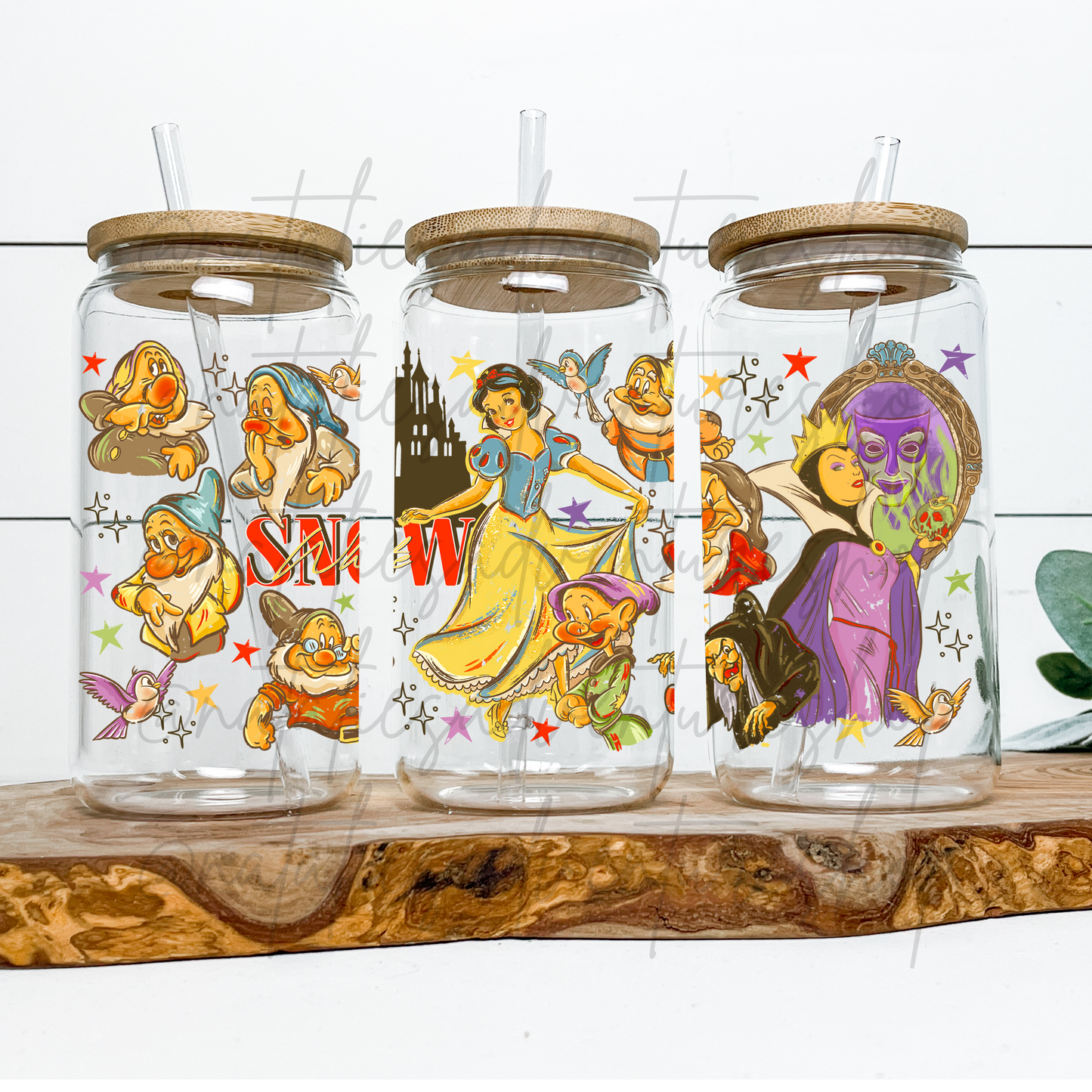 *Pre-Order* Princess SW Retro 16oz Glass Can
