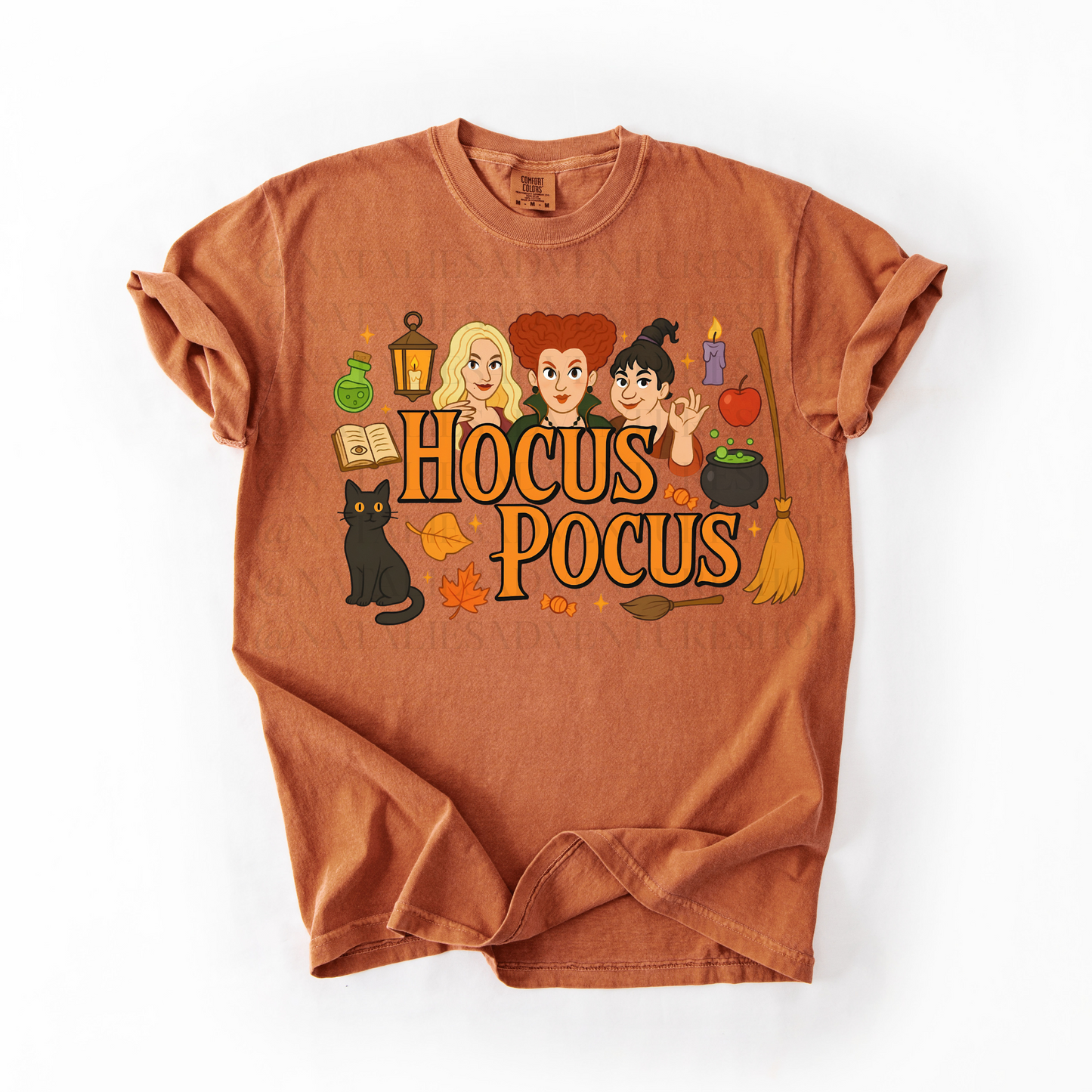 *Pre-Order* HP Witches (Comfort Colors)